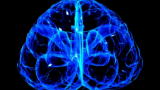 Through The Wormhole 2: Precognition from Evolution