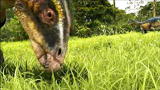 Greatest Discoveries: Extinction of the Dinosaurs
