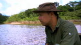An Idiot Abroad: Dolphins In The Amazon