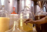 How It's Made: Wine