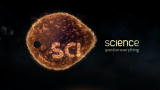 Science Channel Sneak Peeks: Space & Sex