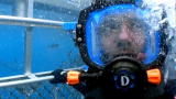 An Idiot Abroad: Into the Frying Pan