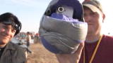 Punkin Chunkin 2008: Pumpkin Cam