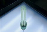 Deconstructed: Compact Fluorescent Light Bulb