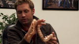 Auctioneer$: Albino Corn Snake
