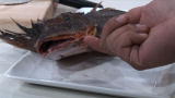 Kitchen Boss: The BLEEP of the Sea