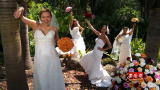 Four Weddings: Good Until It Wasn't