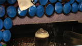 DC Cupcakes: Gambling for Cupcakes