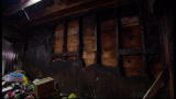 Hoarding Buried Alive: Life in Jeopardy