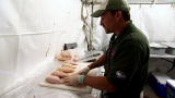BBQ Pitmasters: The Chicken Challenge