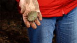 My Strange Addiction :Rock Addict