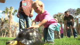 Quints by Surprise: Turtle or Tortoise?