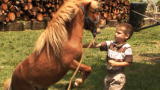 18 Kids and Counting: Bucking Bates Bronco