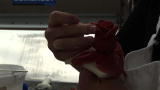 Next Great Baker: How to Make a Fondant Rose