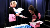 DC Cupcakes: Roller Derby ... Disaster?