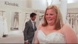 Say Yes to the Dress Big Bliss: Not Quite Her Fantasy