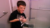 Little People, Big World: New Kitten