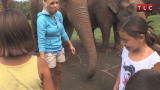 Kate Plus Eight: Australian Elephants