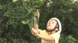 Kate Plus 8: Berries