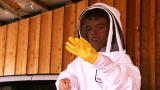 Little People, Big World: The Buzz About Bees
