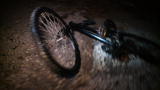 Unleashed: K9: The Bicycle Chase