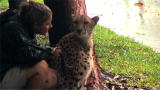 Kate Plus 8: Cheetah