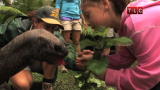 Kate Plus 8: Tortoise Adventure