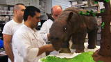 Cake Boss: Indricotherium Cake