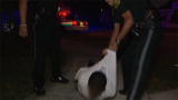 Police Women of Broward County: Why Are You Running?