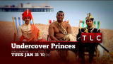 Undercover Princes