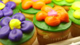Cake Boss: Cake Boss Cupcakes