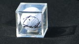 Auctioneer$: Tiger Woods Golf Ball