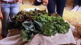 BBQ Pitmasters: What's A Vegetable