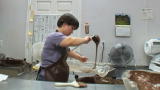 Little Chocolatiers: Chocolate - A Fading Art