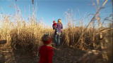 Quints by Surprise: Donkeys and Hay Mazes