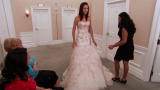 Say Yes to the Dress: Mom Versus the Pink Dress