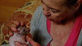 My Strange Addiction: Hairless Rat Love