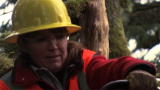 Sarah Palin's Alaska: Logger for a Day