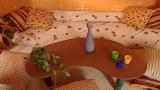Trading Spaces Reveals: Revisiting The 60's