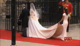 Crazy About Pippa: The Most Sought After Tape Ever