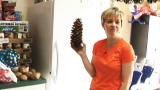 Jon & Kate Plus 8: Pinecone Argument
