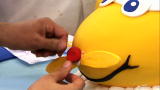 Cake Boss: St. Joseph's Children's Hospital Cake