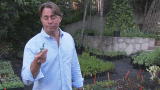 Inedible to Incredible: From the Garden to Kitchen