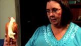 Hoarding - Buried Alive: Toy Horses