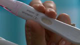 A Conception Story: Big Baby News