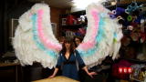 My Big Fat American Gypsy Wedding: Ready to Fly