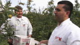 Cake Boss: How Do You Like Them Apples?