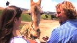 Sister Wives: Honeymoon Safari