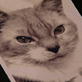LA Ink: Steve Loves His Pet