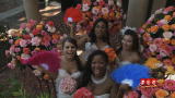 play video on TLC